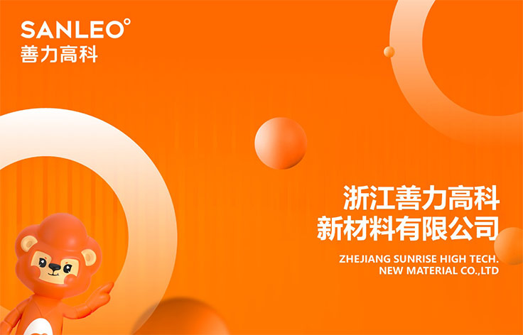 浙江丨善力高科新材料企業(yè)介紹PPT